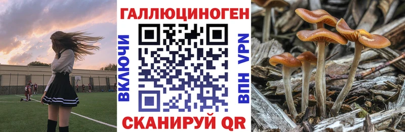 Псилоцибиновые грибы Cubensis  мориарти формула  Правдинск 